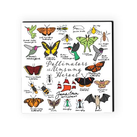 POLLINATOR COASTER